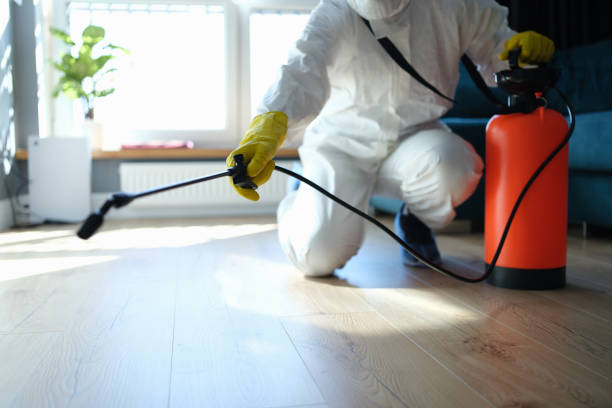 Affordable Odor Removal solutions in Hallettsville, TX